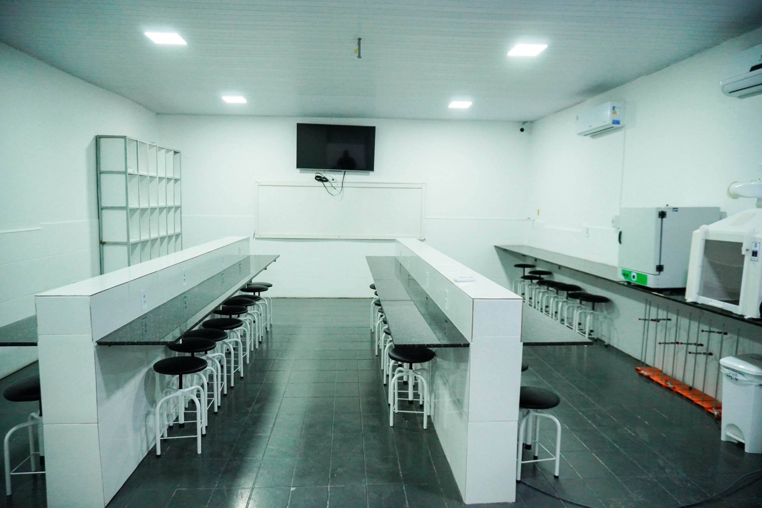 Laboratório de Bases Celulares e Moleculares