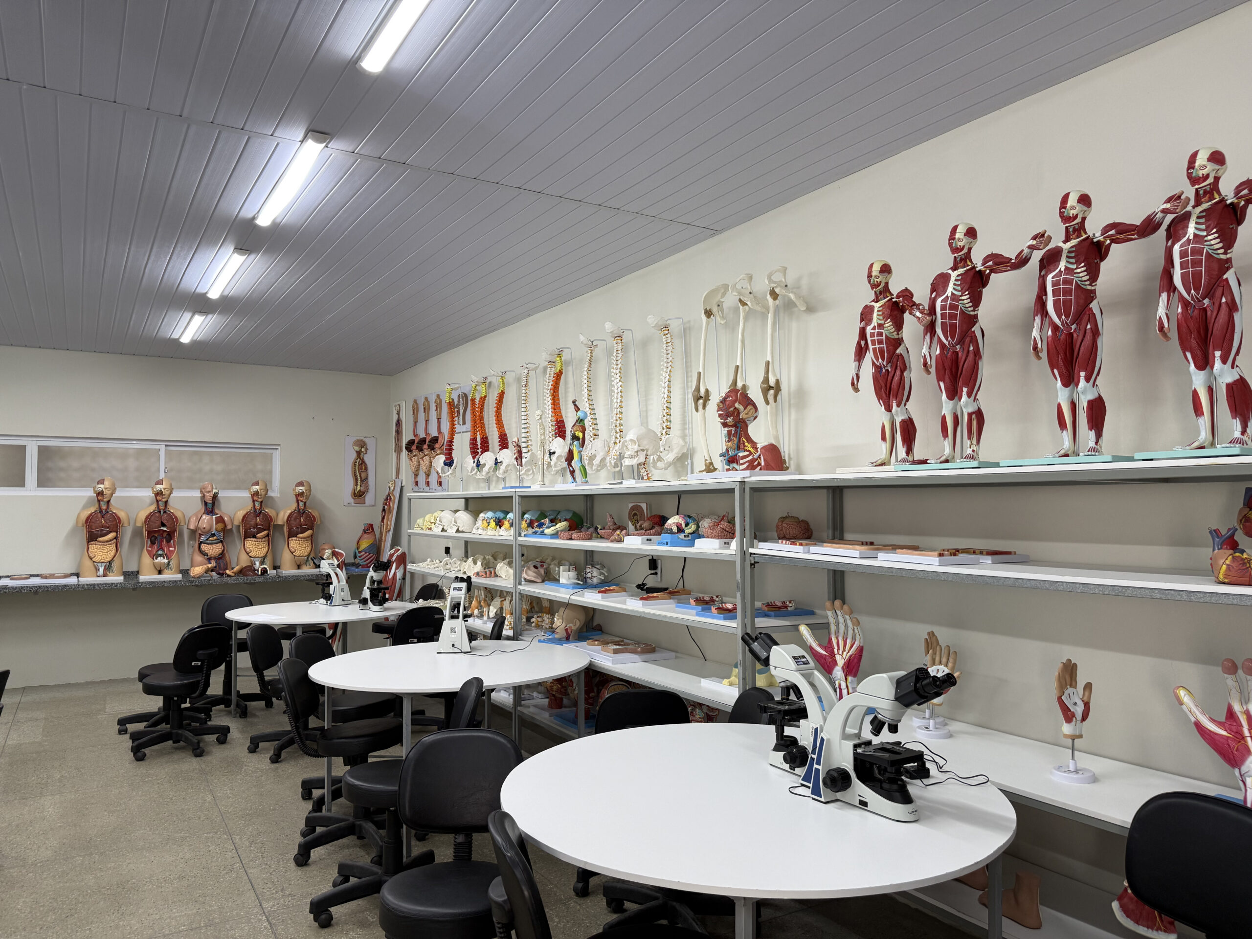 Laboratório Morfofuncional