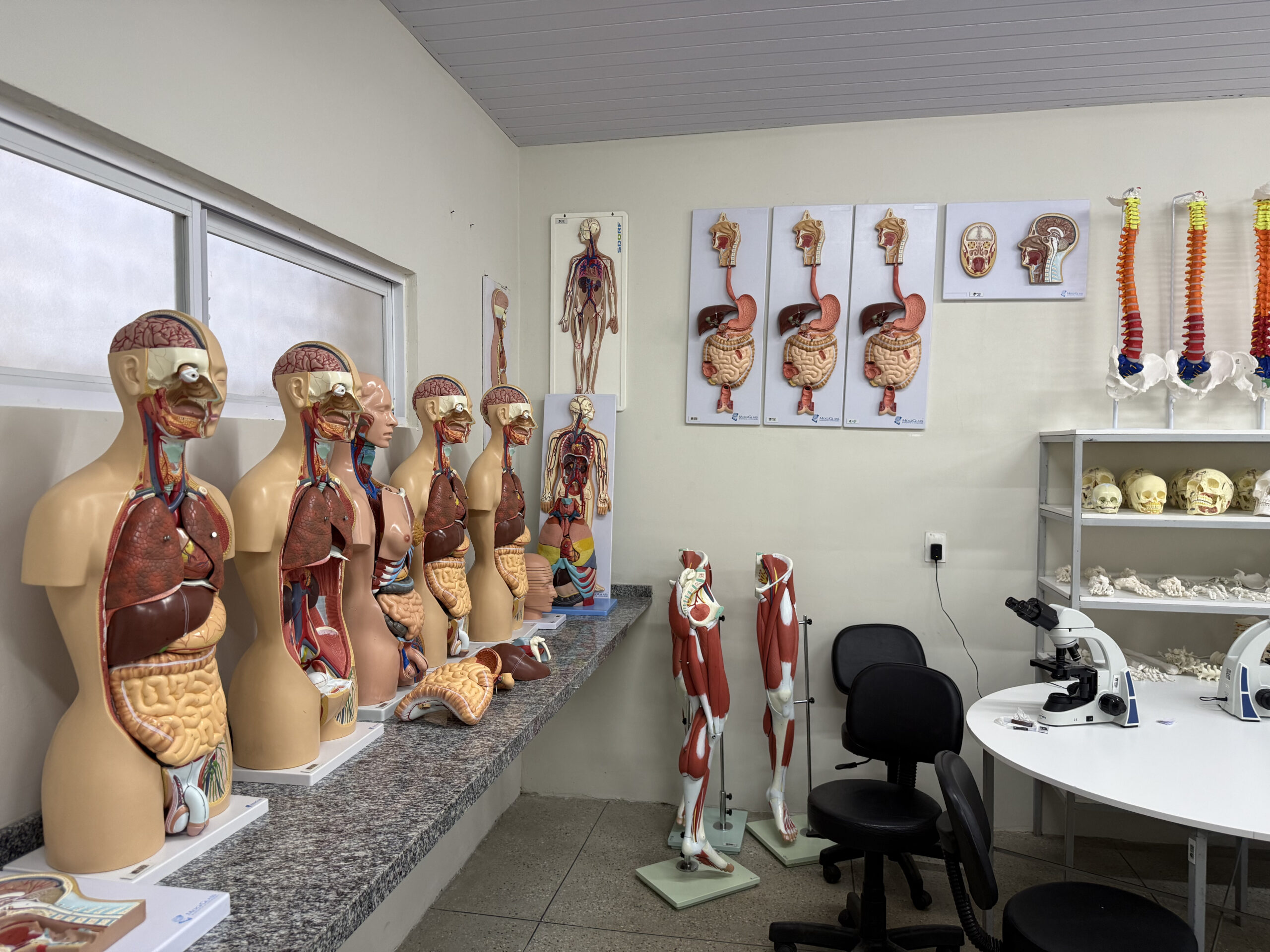Laboratório Morfofuncional